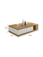 Mesa de Centro Moderno Jeremy